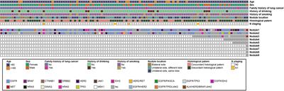 Correlation between gene mutation status and clinicopathologic features in early multiple primary lung cancer
